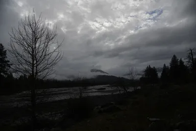 DSC_6776 (Large).JPG